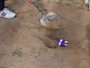 Dimecres de cendra. L’enterrament de la sardina a Can Banús