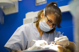 El servei odontològic SOPS creix molt amb la crisi i atén més de 400 pacients el 2015