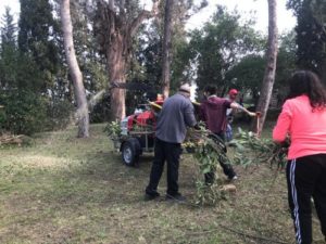Col·laboració, aprenentatge, coneixement i noves relacions de solidaritat: tot això i més són les pràctiques de jardinera que es fan al Convent