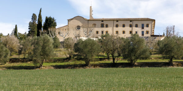 Vista del Convent dels Franciscans des de lluny