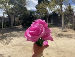 Celebra Sant Jordi 2024 amb Acollida i Esperança