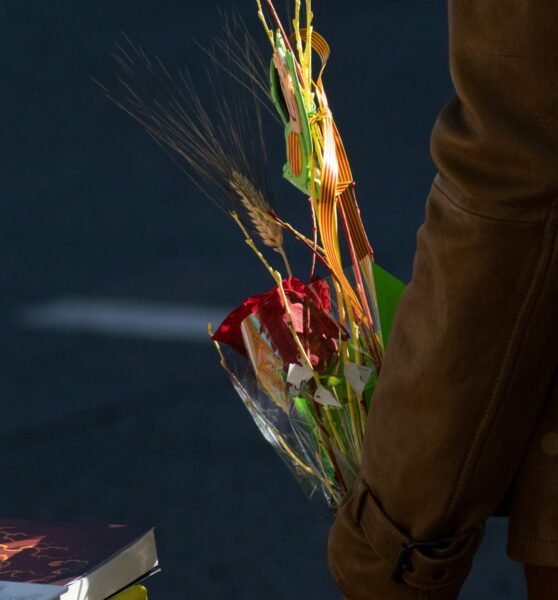 Celebra el Sant Jordi 2026 amb la Fundació Acollida i Esperança 